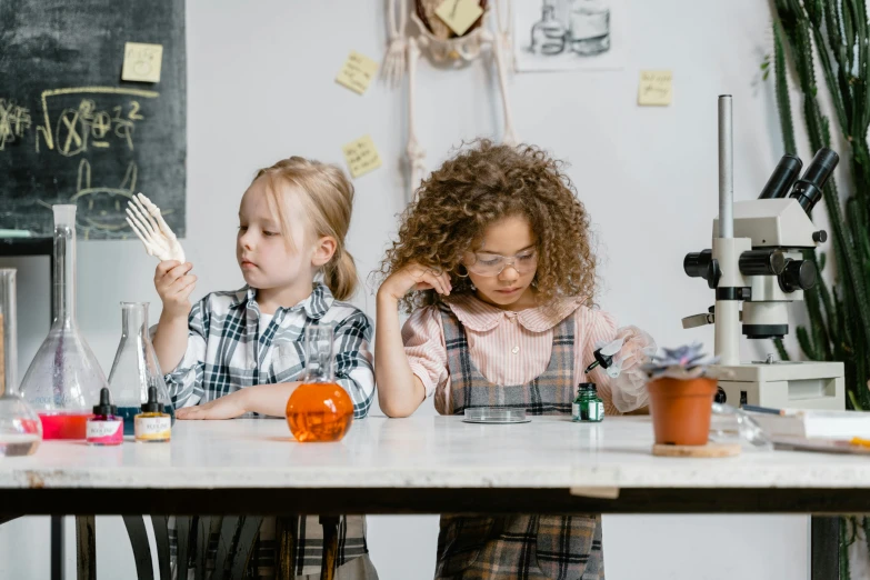 a couple of kids that are sitting at a table, trending on pexels, scientist, two girls, standing in class, curiosities