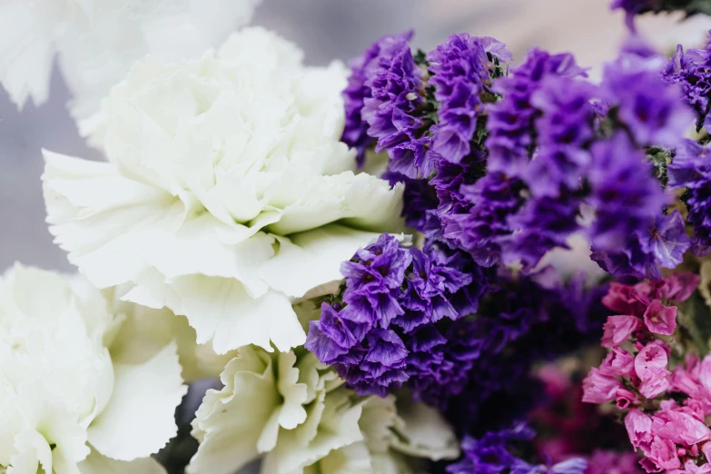 a bunch of purple and white flowers in a vase, a macro photograph, unsplash, verbena, ((purple)), close together, frill