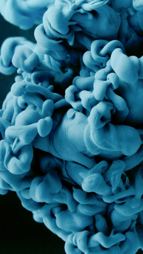 a close up of a bunch of blue ink, a microscopic photo, by Rachel Reckitt, made of cotton candy, pasta, fungus, biotech