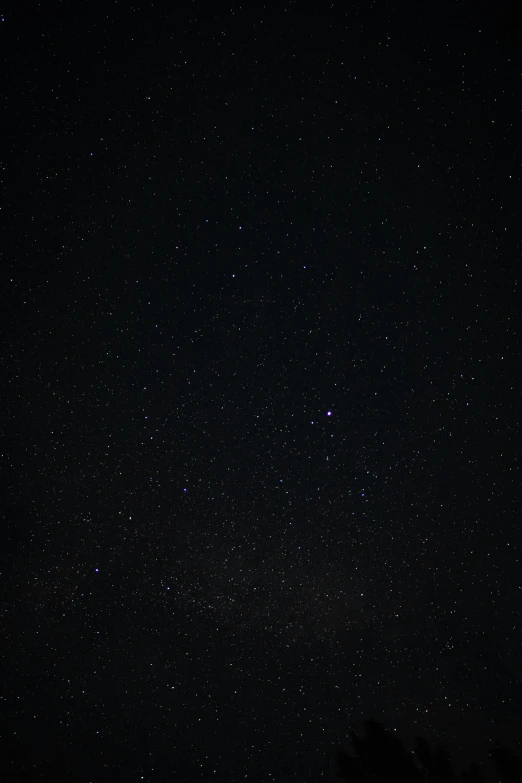 the night sky with stars and trees in the foreground, unsplash, 2 5 6 x 2 5 6 pixels, star charts, starry sky 8 k, dark