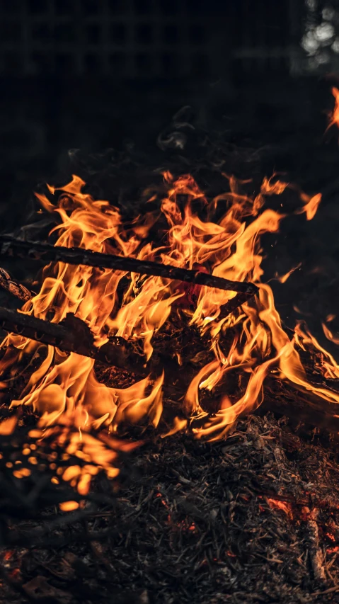 a fire burning in the middle of a forest, an album cover, pexels contest winner, traditional fireplace, charred, sports photo, grainy