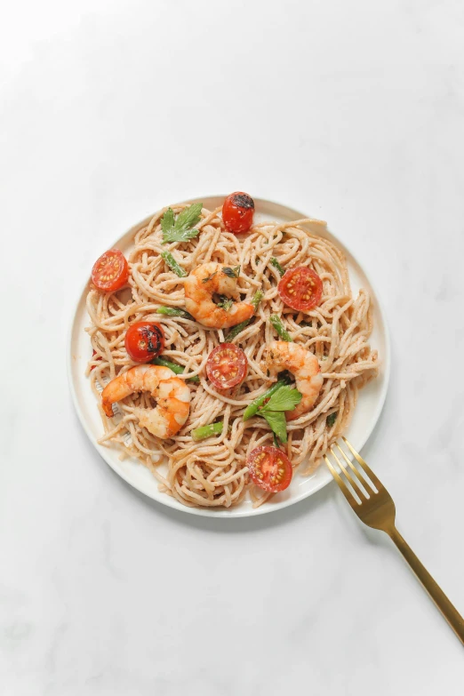 a plate of pasta with shrimp and tomatoes, by Carey Morris, glossy white metal, worn, high angle, 1x