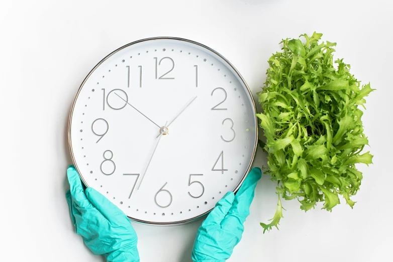 a person in blue gloves holding a clock, salad, clean and pristine design, local conspirologist, profile image