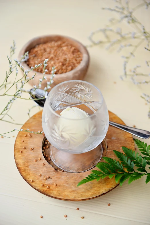 a bowl of ice cream sitting on top of a wooden plate, inspired by Tan Ting-pho, renaissance, plants in a glass vase, magic frozen ice phoenix egg, fern, quartz crystal