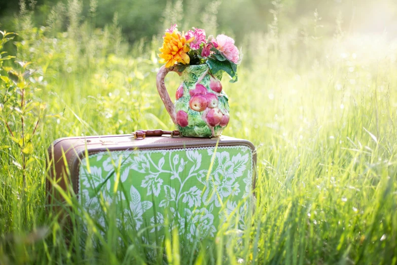a vase filled with flowers sitting on top of a piece of luggage, pixabay contest winner, lush green meadow, picnic, vintage glow, cheerful colours