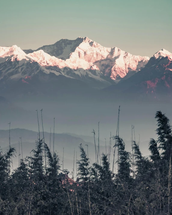 a view of a mountain range with trees in the foreground, inspired by Elsa Bleda, unsplash contest winner, sumatraism, light snow, sichuan, pink landscape, grey