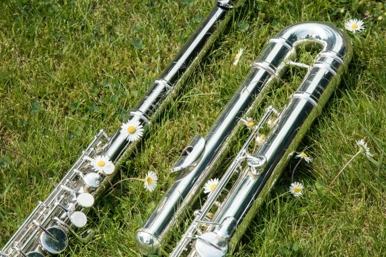 a silver trumpet sitting on top of a lush green field, by Erwin Bowien, baroque, chrome tubes, thumbnail, flower power, bass