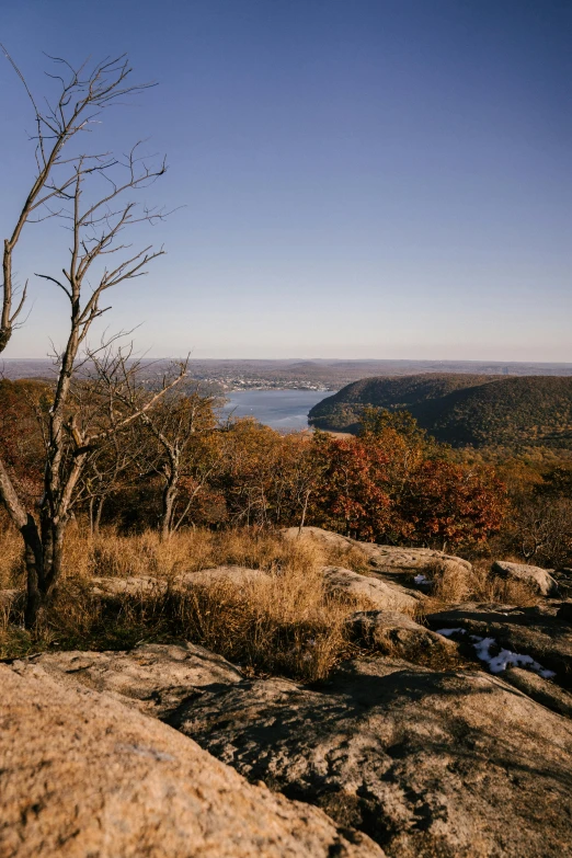 a lone tree sitting on top of a large rock, a picture, unsplash, hudson river school, hiking trail, panorama view, late autumn, overlooking