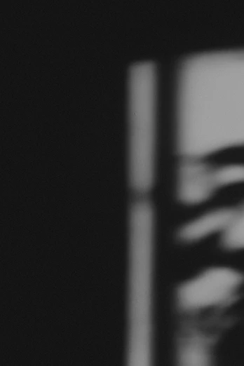 a black and white photo of a plant in front of a window, a black and white photo, by Raoul Ubac, blurred face, low quality footage, 16k resolution:0.6|people, medium format. soft light