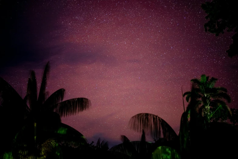 a night sky filled with stars and palm trees, pexels contest winner, mauve and cyan, ayahuasca, album, pink