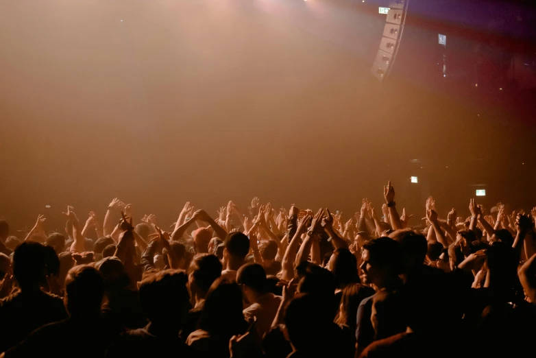 a crowd of people at a concert with their hands in the air, pexels contest winner, figuration libre, very hazy, dancefloor kismet, brown, crystal castles