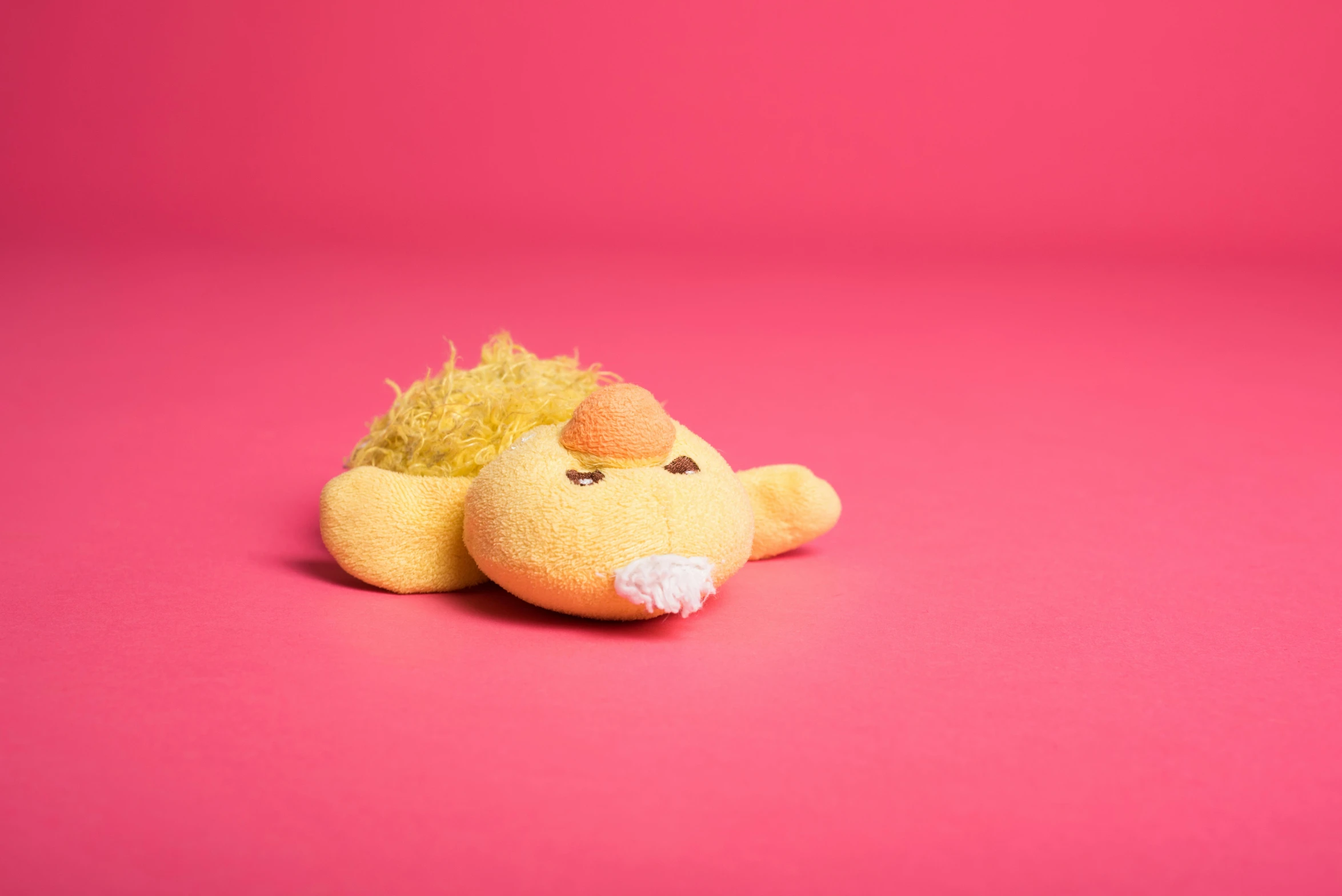 a close up of a stuffed animal on a pink background, an album cover, unsplash, face down, cute lion, spongy, kek