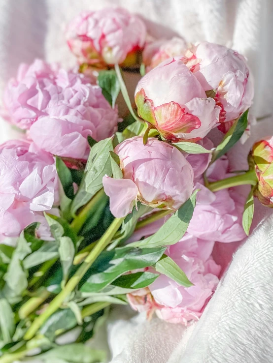 a bunch of pink flowers sitting on top of a white cloth, slide show