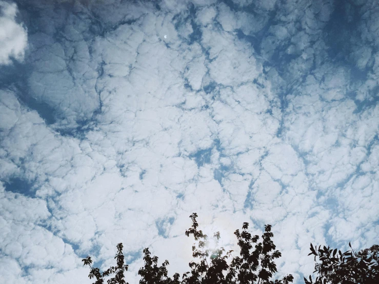 a blue sky with clouds and trees in the foreground, an album cover, by Lucia Peka, unsplash, layered stratocumulus clouds, toxic clouds, white clouds, grainy