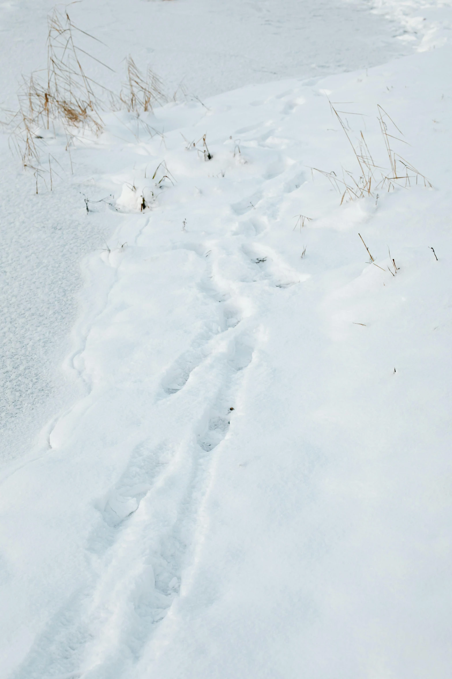 a man riding skis down a snow covered slope, by Mathias Kollros, land art, foot path, up close image, marsh, contain