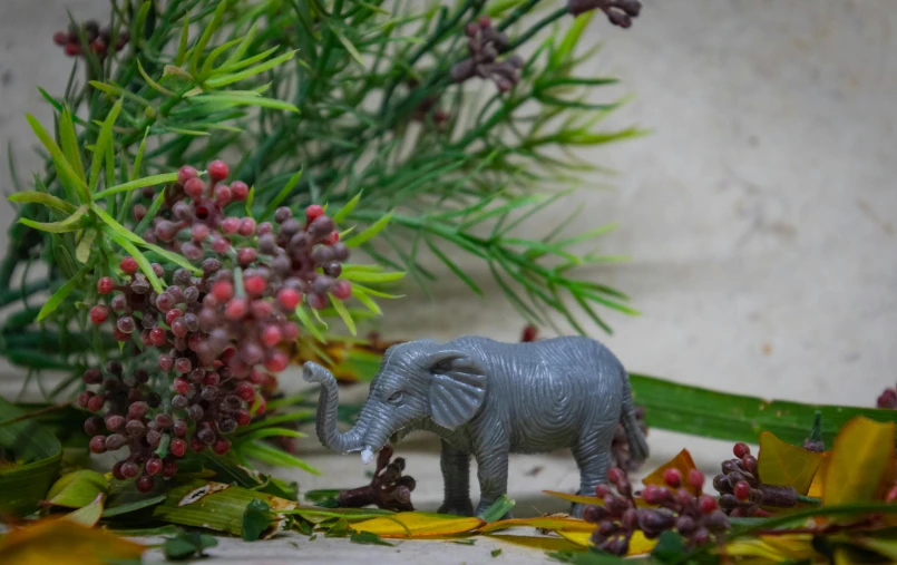 a toy elephant standing next to a bunch of flowers, inspired by Isidore Bonheur, pexels contest winner, magic realism, resin miniature, amongst foliage, grey, african