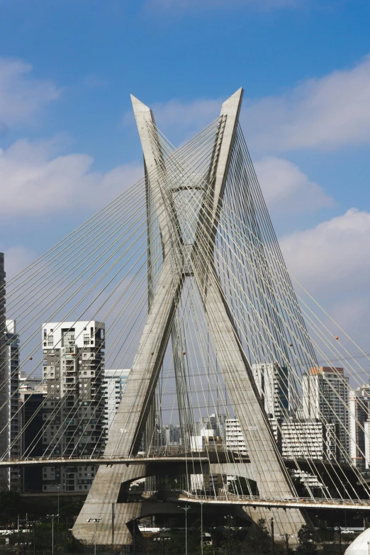 a bridge over a body of water with a city in the background, inspired by Antônio Parreiras, huge support buttresses, santiago calatrava, brazil, front face