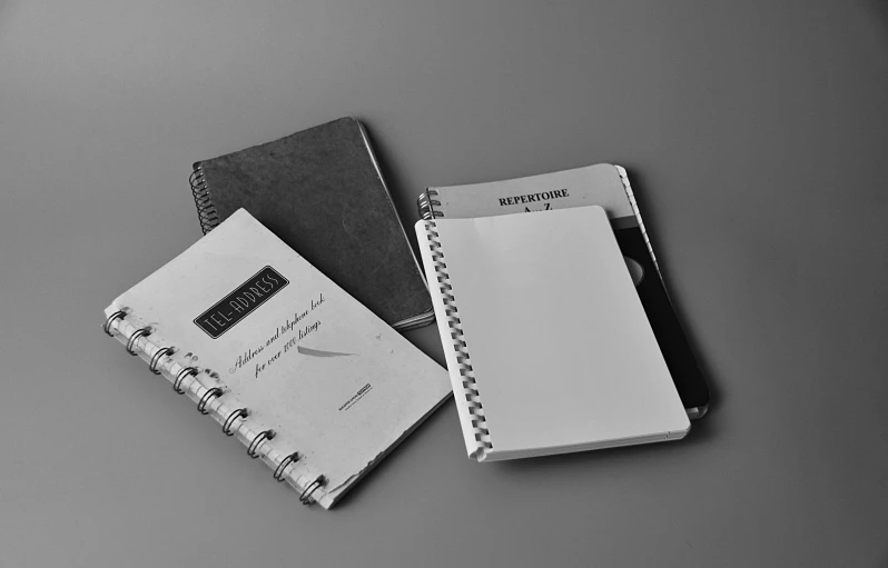 a couple of notebooks sitting on top of a table, light greyscale, pristine and clean design, daily carry, platinum printing