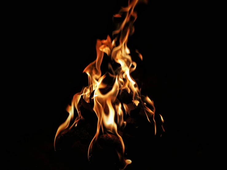 a close up of a fire in the dark, an album cover, pexels, istockphoto, fan favorite, hot food, tiny firespitter