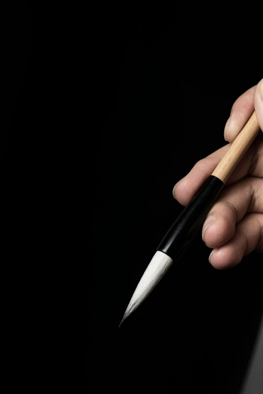 a person holding a pencil in their hand, a photorealistic painting, inspired by Fu Baoshi, unsplash, in front of a black background, chinese ink brush, smooth technology, kung fu