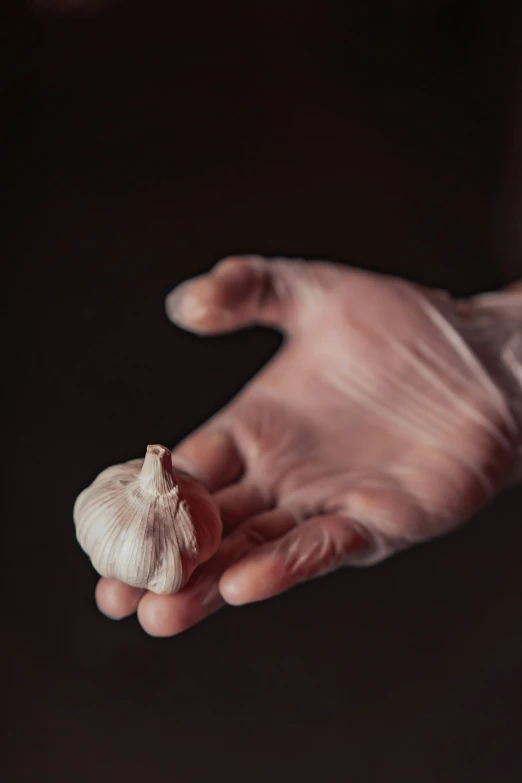 a close up of a person's hand holding a clove of garlic, unsplash, hyperrealism, plastic wrap, realistic »