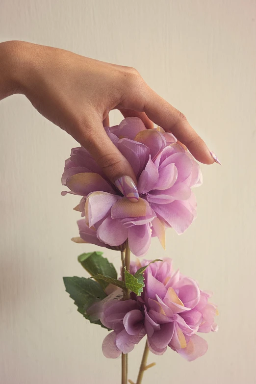 a close up of a person holding flowers in a vase, inspired by Elsa Bleda, hyperrealism, gradient light purple, unclipped fingernails, ilustration, with soft bushes