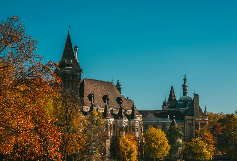 a large castle sitting on top of a lush green field, a photo, by Matija Jama, pexels contest winner, art nouveau, autumn maples, budapest street background, brown and cyan blue color scheme, gothic library