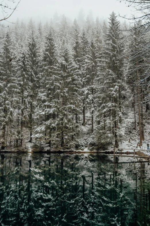 a body of water surrounded by trees covered in snow, by Wolfgang Zelmer, detailed 4k photograph, intricate environment - n 9, forested, reflect