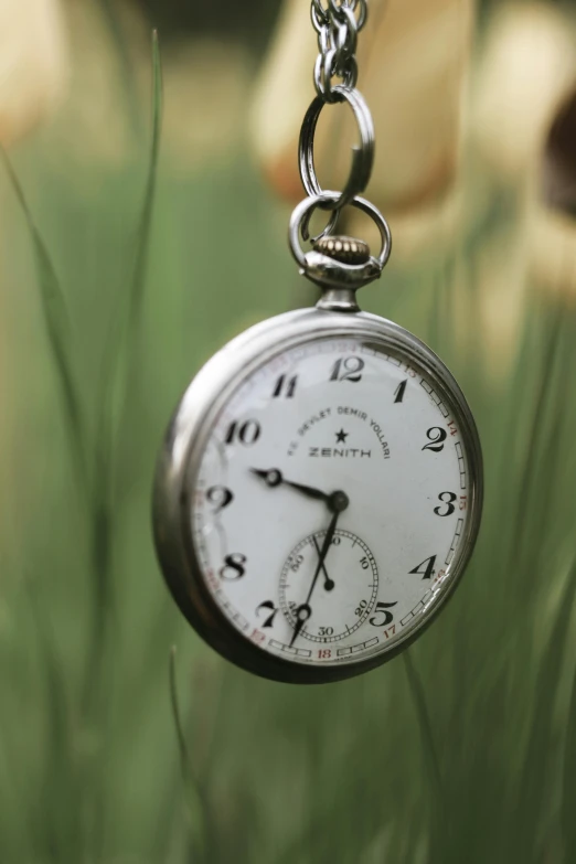 a pocket watch hanging from a chain in the grass, manufactured in the 1920s, zenith angle, photograph credit: ap, in the silver hour