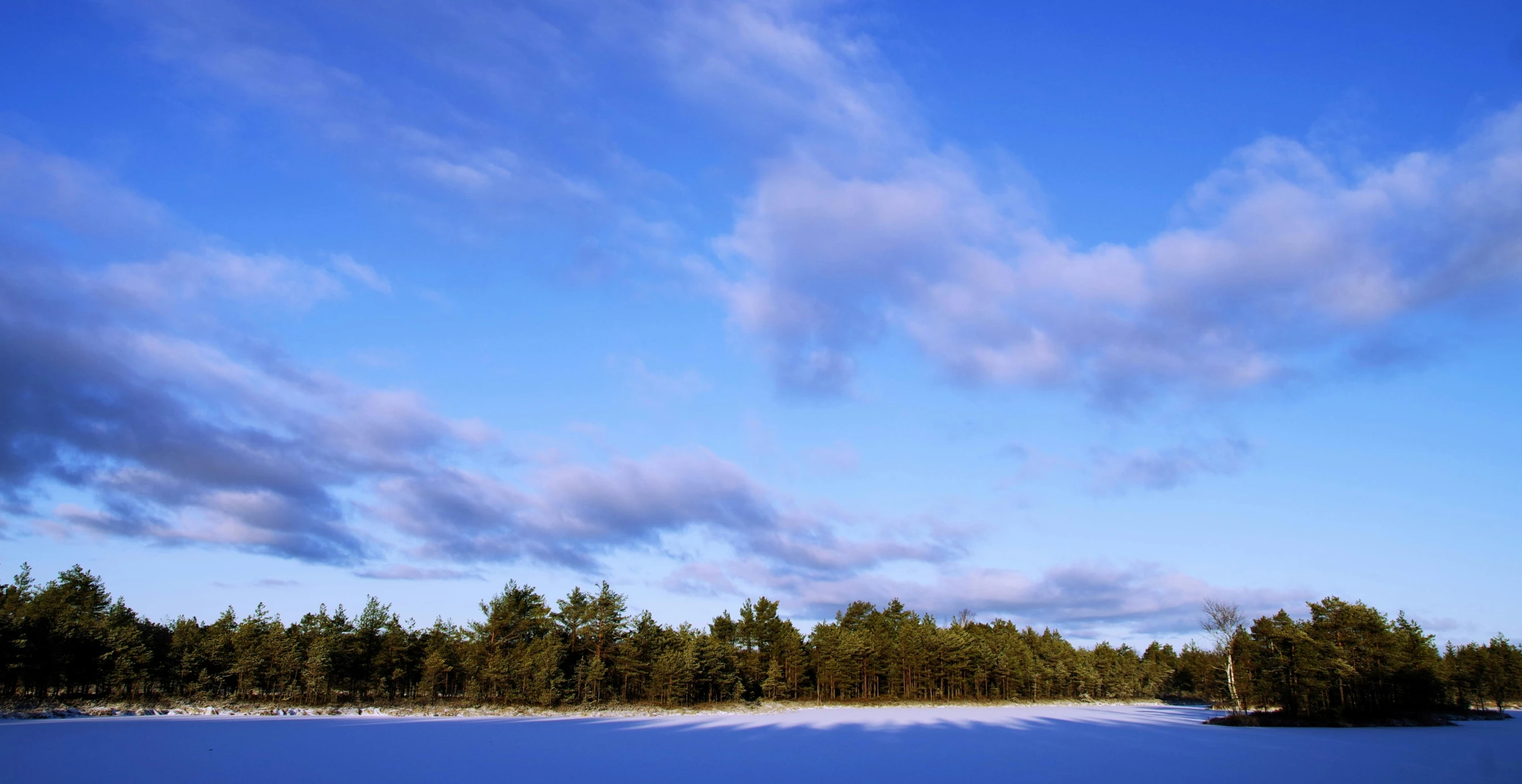 a snow covered field with trees in the background, inspired by Eero Järnefelt, unsplash, minimalism, lake blue, cumulus, maritime pine, john pawson