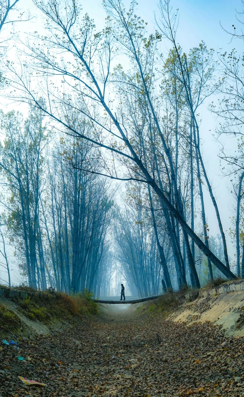 a person standing in the middle of a dirt road, by Slava Raškaj, blue trees, panoramic photography, connected with hanging bridge!!, india