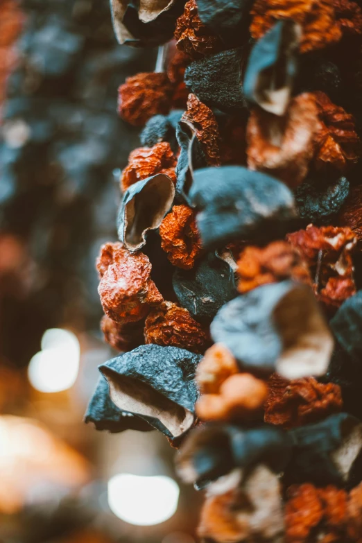 a bunch of dried fruit hanging from a tree, an abstract sculpture, by Jesper Knudsen, pexels contest winner, process art, prussian blue and venetian red, made of lava, cinematic closeup, embers