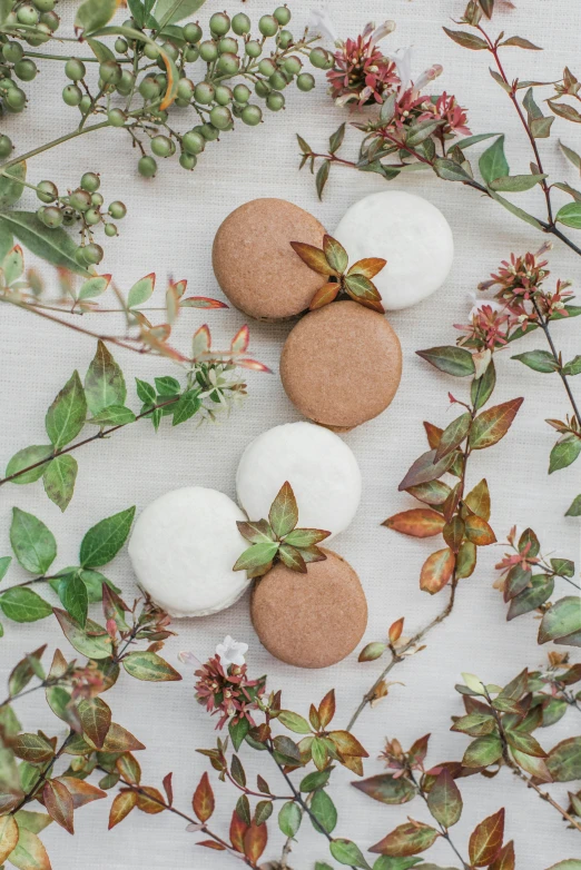 a bunch of cookies sitting on top of a table, inspired by Eden Box, unsplash, renaissance, shrubs, ivory and copper, macaron, closeup portrait shot