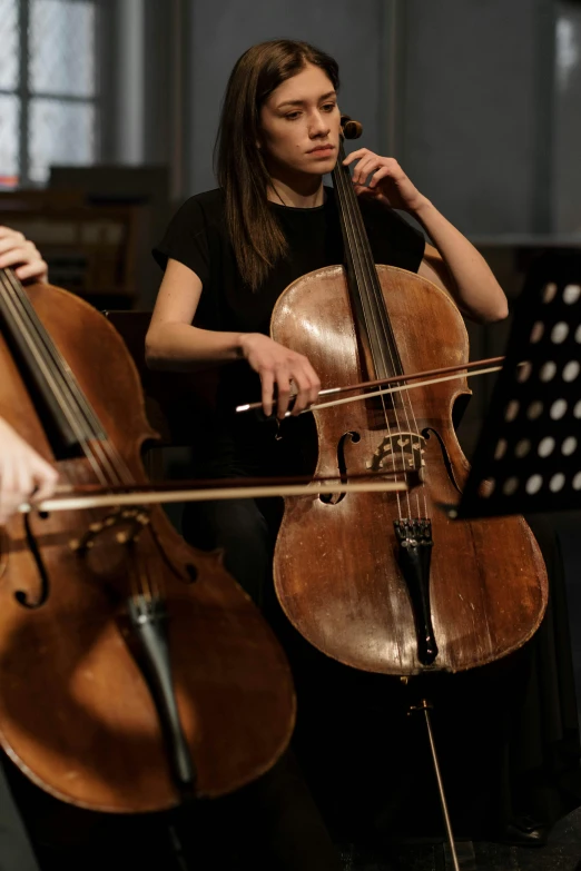 a group of people playing musical instruments in a room, by Elizabeth Durack, shutterstock, cello, in thick layers of rhythms, [ cinematic, concert