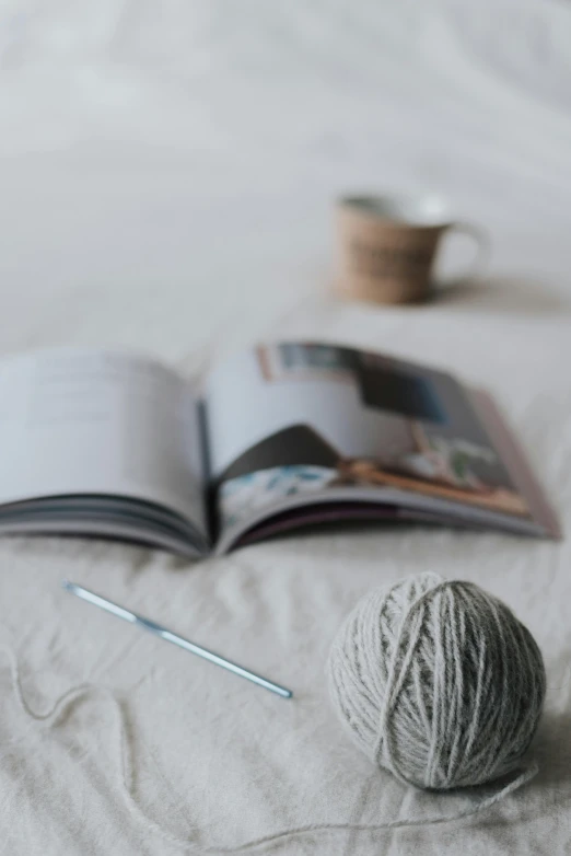 a book sitting on top of a bed next to a ball of yarn, unsplash, light grey, thumbnail, craft, multi-part