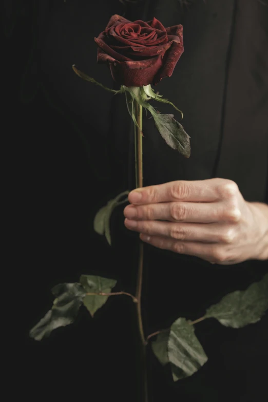 a person holding a red rose in their hand, inspired by Robert Mapplethorpe, profile image, funeral, tall, alessio albi