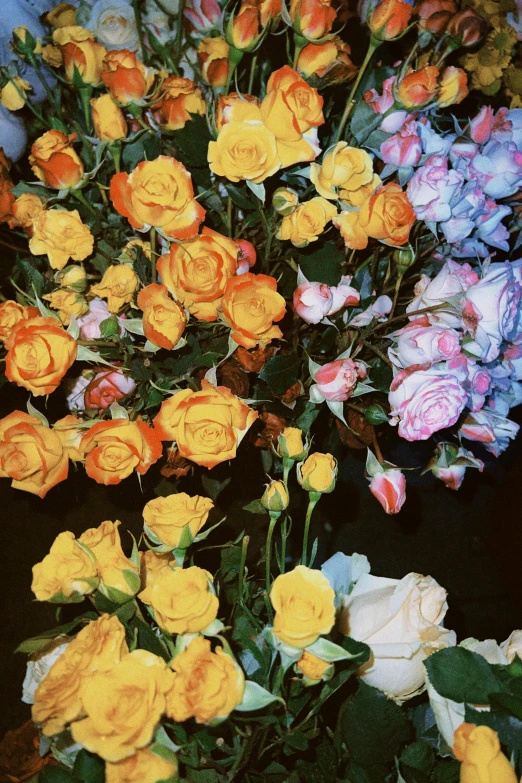 a painting of a bunch of flowers in a vase, an album cover, inspired by Elsa Bleda, trending on unsplash, roses, yellow rose, in style of petra collins, close up shots