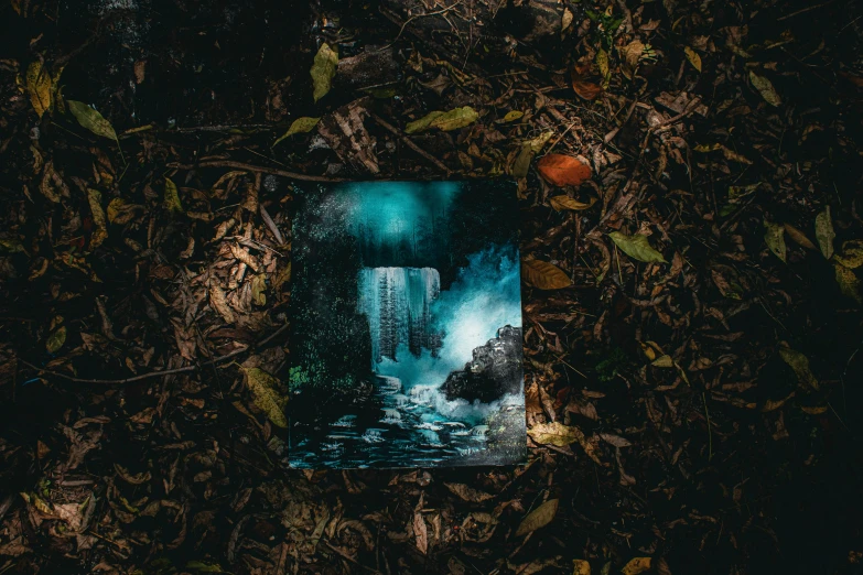 a book laying on the ground surrounded by leaves, a polaroid photo, inspired by Elsa Bleda, pexels contest winner, art photography, bioluminescent waterfall, metal album cover art, mysterious jungle painting, a dark underwater scene