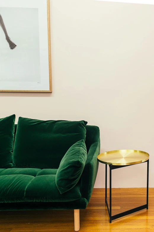 a green couch sitting on top of a hard wood floor, inspired by Constantin Hansen, trending on unsplash, visual art, gold framed, with soft pink colors, architectural digest photo, detail shot