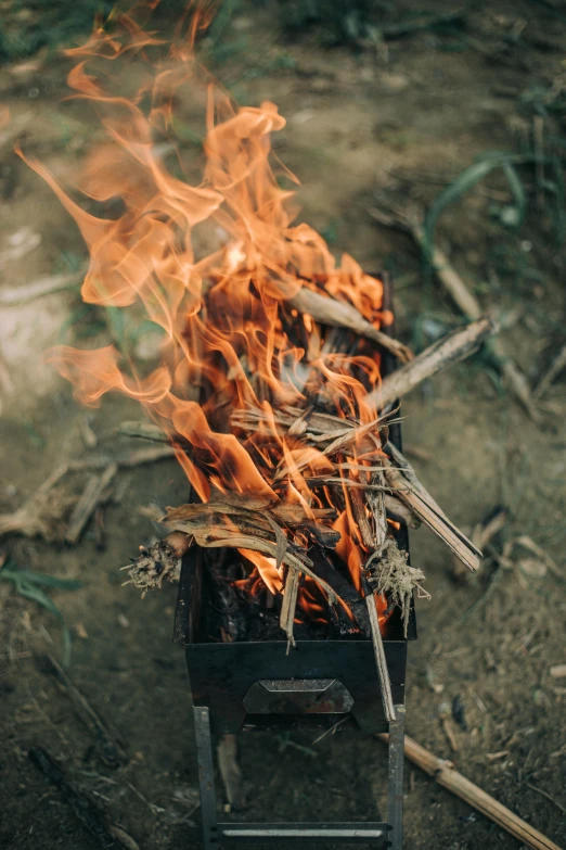 a pile of sticks sitting on top of a fire, an album cover, unsplash, renaissance, cooking it up, burnt armor, flaming leaves, outdoors