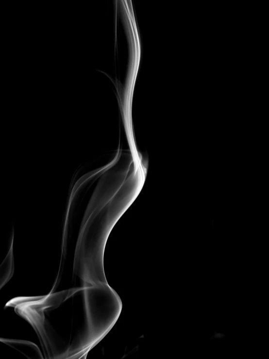 a close up of smoke on a black background, by Jan Rustem, fog. by greg rutkowski, various posed, cigarette dangling, pyromallis rene maritte