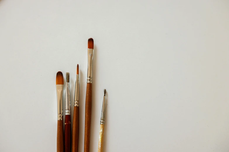 three brushes sitting next to each other on a white surface, a minimalist painting, pexels, visual art, brown, high detailed painting, acrylic canvas, brown colours
