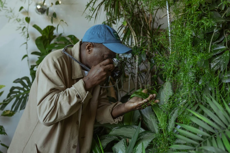 a man looking at a plant through a magnifying glass, by Ellen Gallagher, pexels contest winner, emmanuel shiru, museum curator, lush trunda vegetation, inspect in inventory image