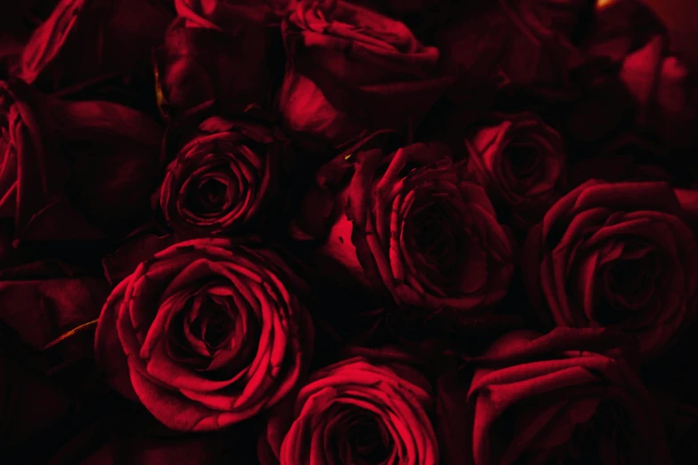 a close up of a bunch of red roses, an album cover, inspired by Elsa Bleda, pexels contest winner, night mood, extremely high resolution, romantic undertones, maroon red