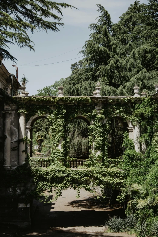 a couple of benches sitting in the middle of a garden, an album cover, pexels contest winner, renaissance, overgrown jungle ruins, archway, completely overgrown with vines, mansion