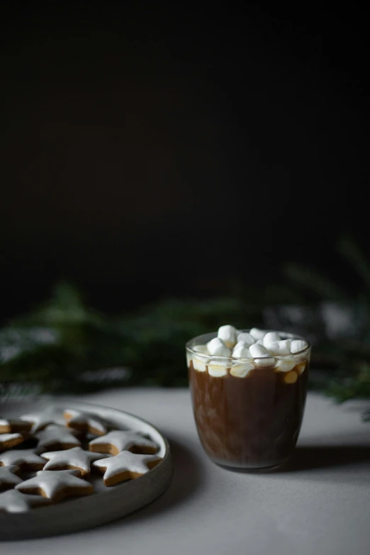 a plate of cookies and a cup of hot chocolate, a portrait, by Jessie Algie, reddit, marshmallows, ignant, juice, gif