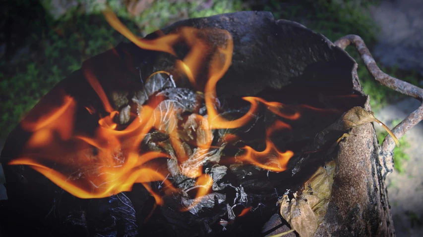 a close up of a fire with flames coming out of it, unsplash, process art, barbecuing chewing gum, bog oak, “ iron bark, braziers