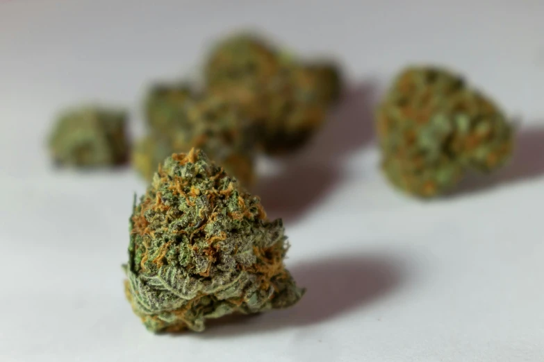 a bunch of marijuana buds sitting on top of a table, a macro photograph, pexels, orange minerals, scottish, lush greens, looking left
