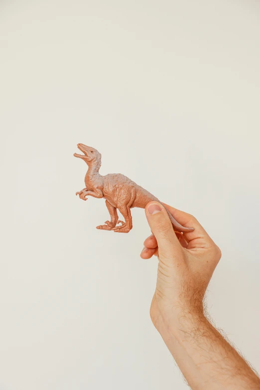 a close up of a person holding a toy dinosaur, inspired by Adam Rex, trending on unsplash, on a pale background, made out of plastic, finger, megalophoba