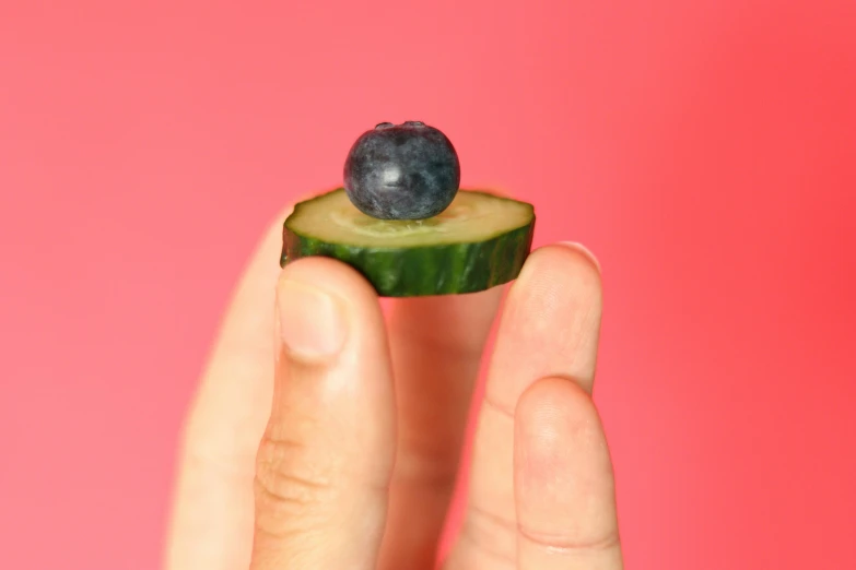 a person holding a piece of cucumber with a blue berry on it, shot on 1 6 mm, flattened, promo shot, snacks